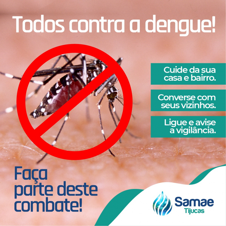 Atenção: Epidemia de Dengue!