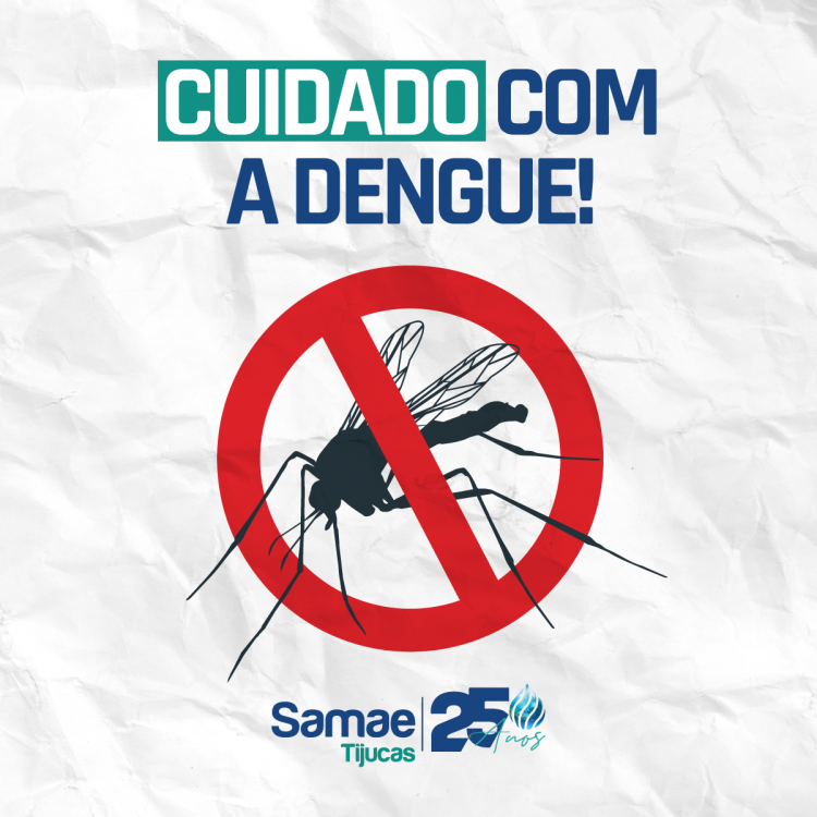 Cuidado com a dengue!