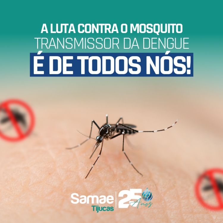 A luta contra o mosquito transmissor da dengue é de todos nós!